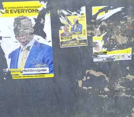 Zanu PF Members Tear CCC Chiredzi North Posters and Intimidate CCC Members