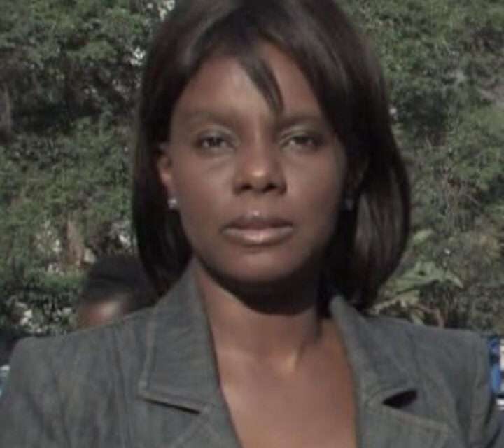 BBC Nyoka Under Fire for Biased Reporting on Zimbabwean Opposition Leader: Questions Arise Over Editorial Integrity