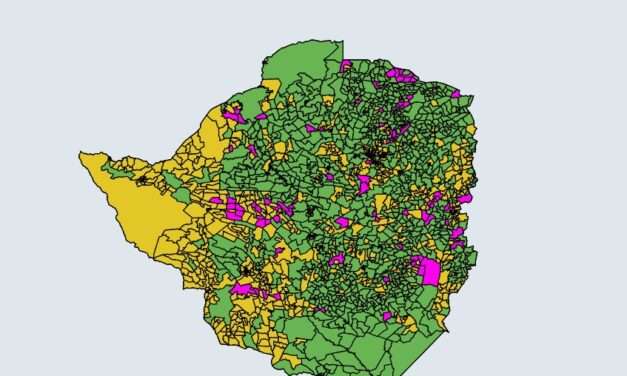 Chamisa Emerges Victorious: New Data Reveals Surging Votes Beyond Official Numbers