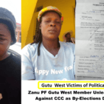Zanu PF Gutu West Member Unleashes Violence Against CCC as By-Elections Draw Nearer