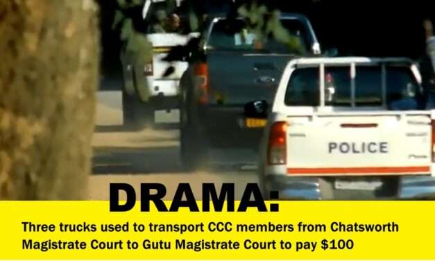 Drama Unfolds as Gutu West CCC Members, Wrongfully Arrested for Assault, Secure Release on Bail and Face Transfer Under Heavy Police Guard to Gutu Court
