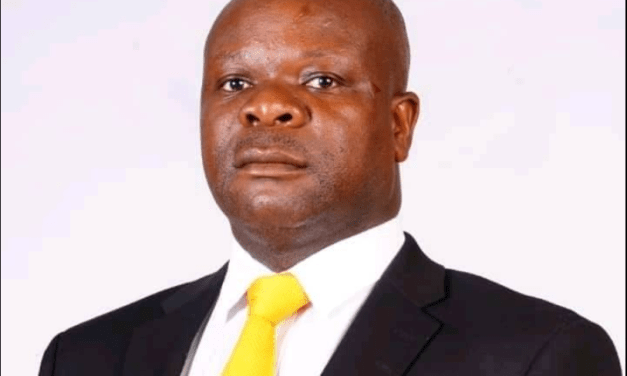 CCC National Organizer Amos Chibaya Condemns Zanu PF-Induced Political Violence in Gutu West
