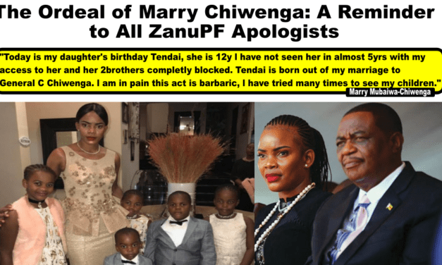 The Ordeal of Mary Chiwenga: A Reminder to All ZanuPF Apologists