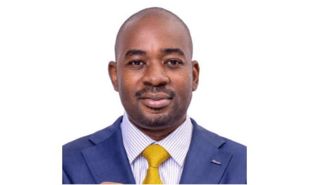Persecution of President Chamisa’s Lieutenants in Chivi North After the 23 August 2023 Harmonized Elections escalates