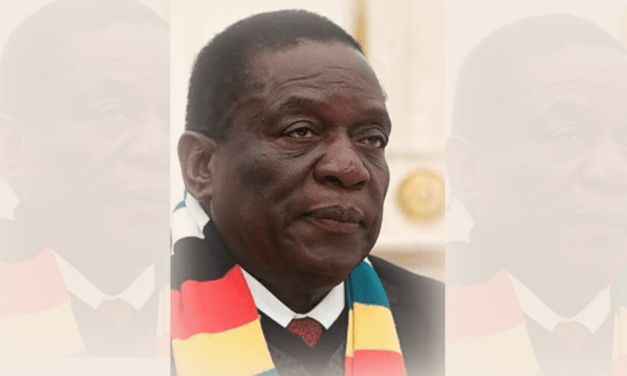 Mnangagwa’s Harvest of Thorns