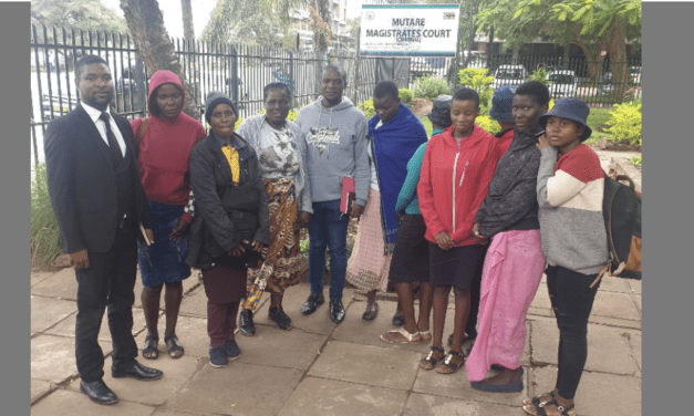 Persecution By Prosecution Continues: No Citizen is Spared, Auxilia Mnangagwa like Grace Mugabe