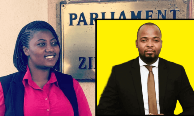 Pro-Chamisa MPs Hon. Gumbo and Hon. Mamombe reject parliamentary committee appointments by self-proclaimed CCC Secretary General Tshabangu