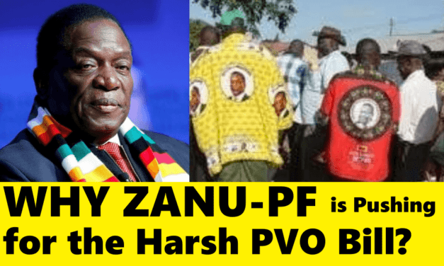 Why ZANU PF is Pushing for the Harsh PVO Bill