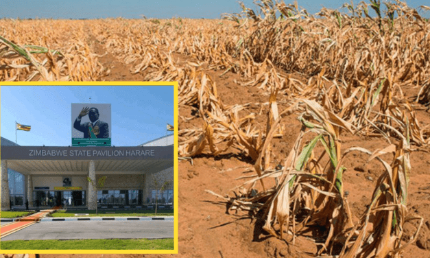 Zanu PF Prioritizes Lavish Airport Pavilion Amidst Rural Starvation and Corruption Scandals