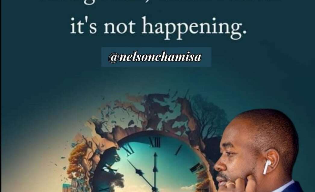 The Hypocrisy of Armchair Critics: A Tale of Two Minds in Zimbabwe