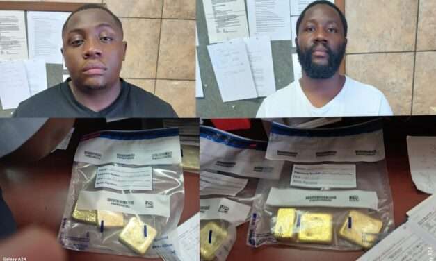Chivayo Arrested in South Africa: Caught with Unaccounted Gold