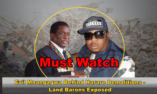 Mnangagwa Involved in HARARE Demolitions -Zanu-PF councillor Mabeka Arrested for Land inversion