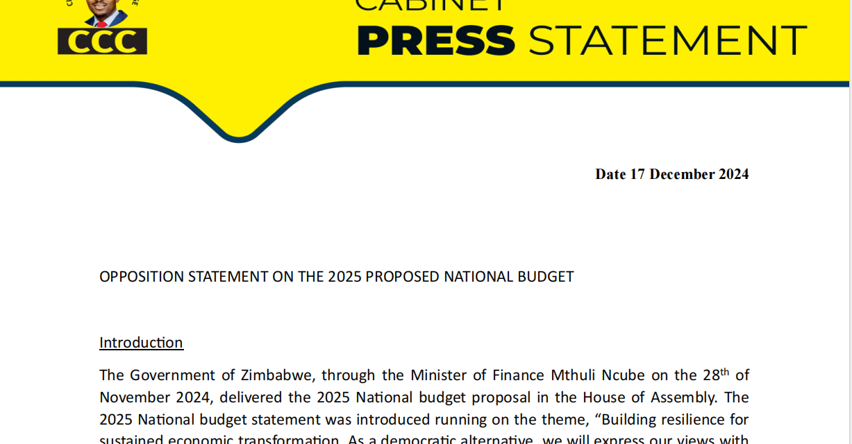 Detailed Summary of Hon. Madzivanyika’s Opposition Statement on the 2025 National Budget