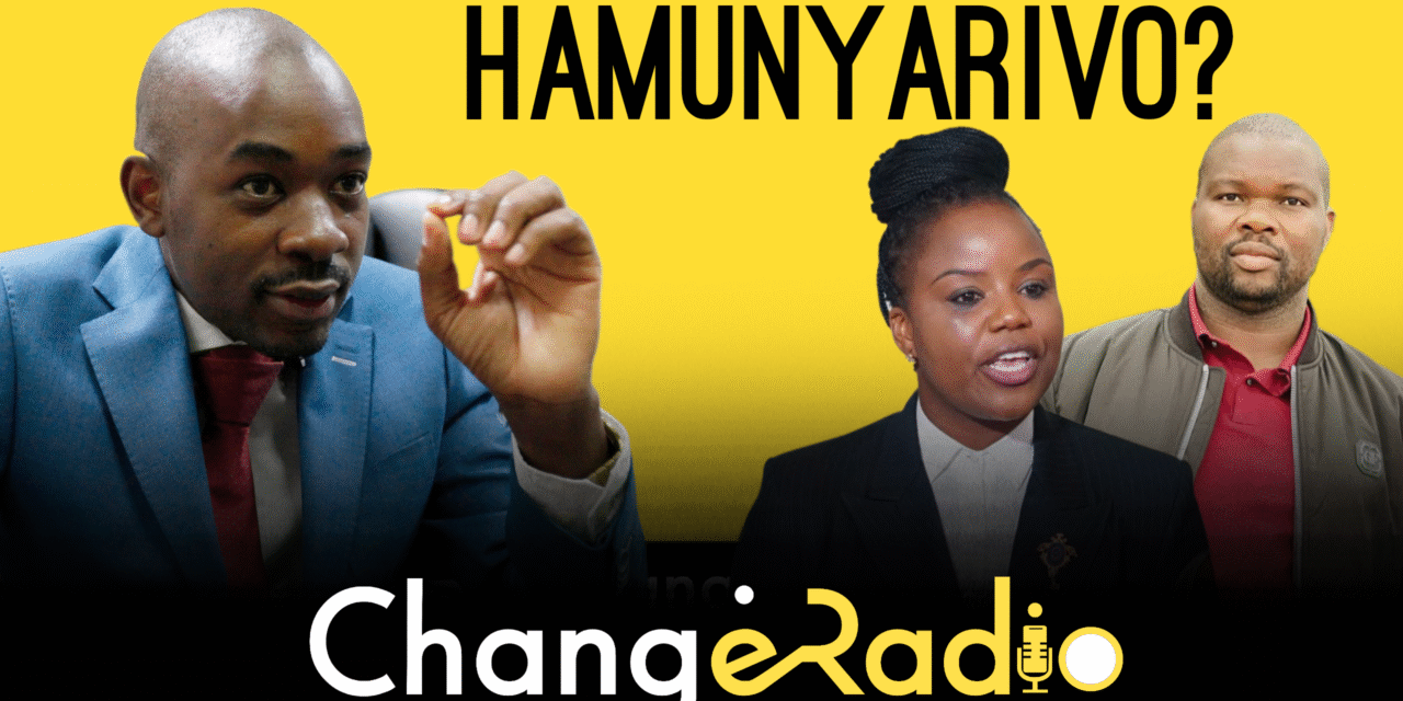 News: Chamisa’s supporters ‘Oks’ the movement idea: Machakaire troubled by mahere over Corruption and Looting