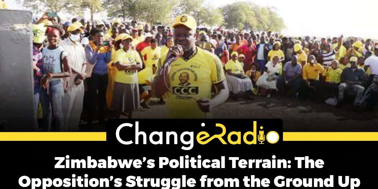 Zimbabwe’s Political Terrain: The Opposition’s Struggle from the Ground Up