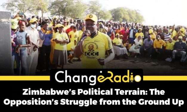Zimbabwe’s Political Terrain: The Opposition’s Struggle from the Ground Up