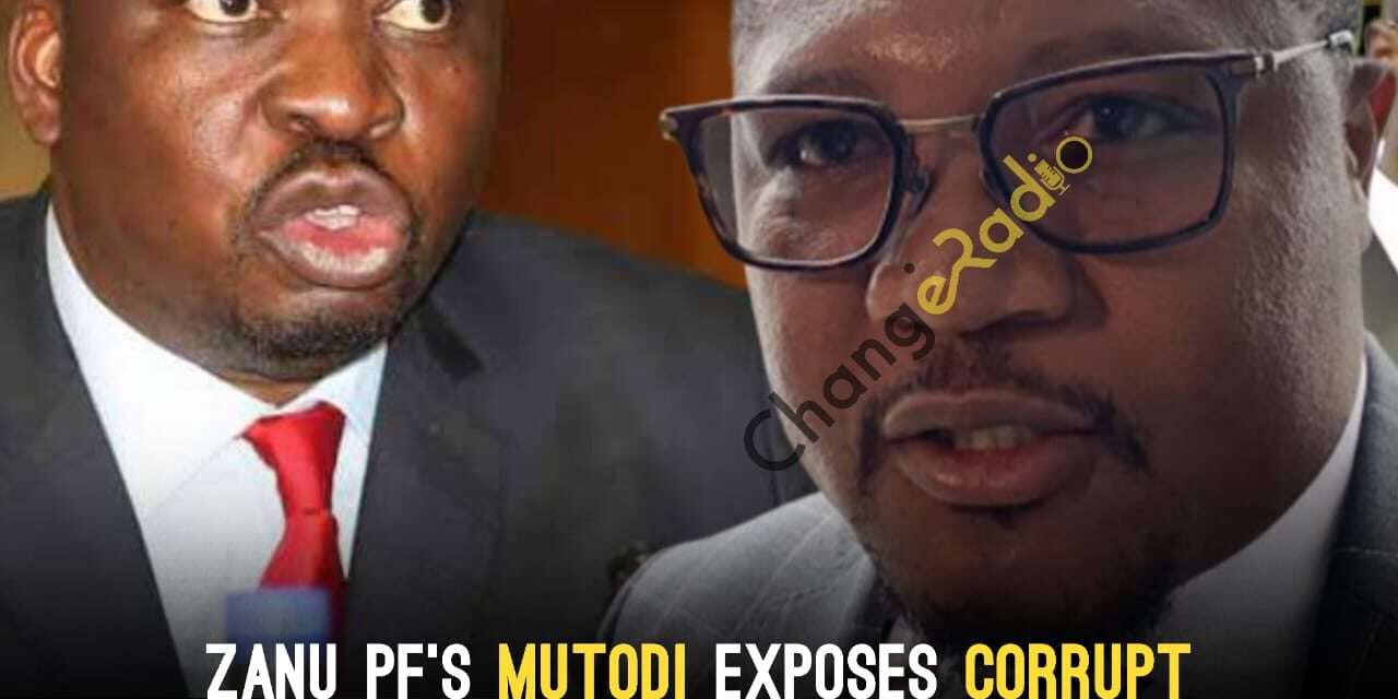 Zanu PF’s Energy Mutodi Exposes Corrupt Permanent Secretary in the Ministry of Finance, Guvamatanga