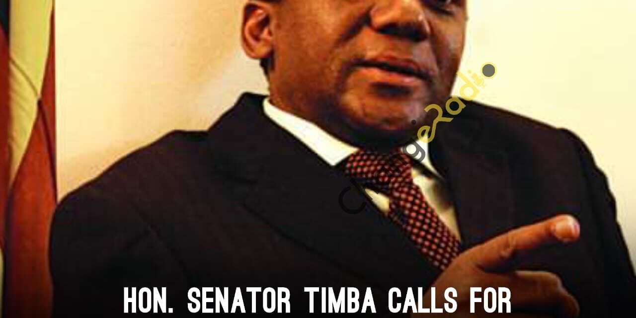 HON. SENATOR TIMBA CALLS FOR FORENSIC AUDIT AND ABANDONMENT OF THE 2030 AGENDA
