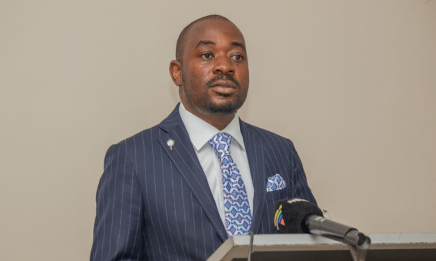 Chamisa Resurrects False Prophets, Fake Political Analysts