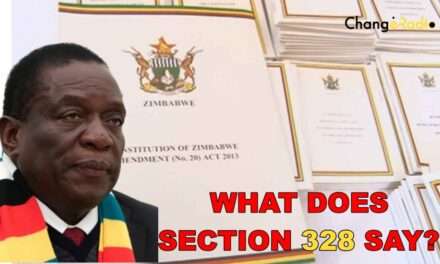 Section 328 vs CAB 3: Why Zimbabweans Must Have the Final Say