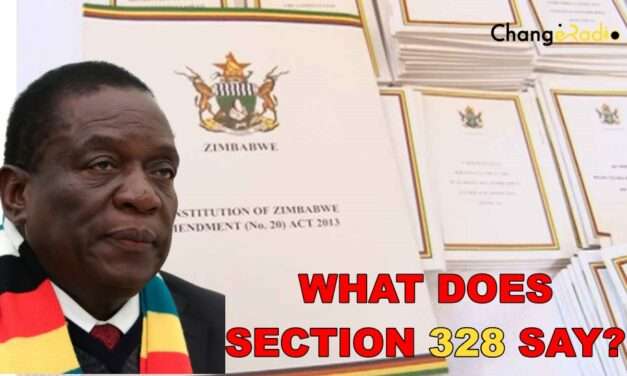 Section 328 vs CAB 3: Why Zimbabweans Must Have the Final Say