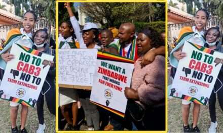 March on March Pickets Zimbabwean Embassy Over Activist’s Detention